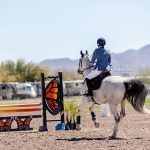 Meet your Posher, Marian